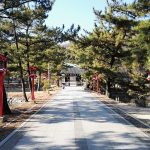 吉備津彦神社に寄りました