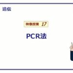 新型コロナウイルス感染症で入院されている患者さんの退院基準に関する質問主意書 ←浜田聡提出