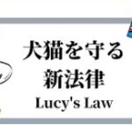 獣医療関係者と飼い主との間のトラブルに関する質問主意書 ←浜田聡提出