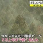 花粉症への対処法　國松先生の意見を参考に