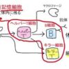 新型コロナウイルス感染症に関する4択問題　61問目～65問目　獲得免疫、等