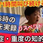 重度自閉症児への経済的支援を推進する法案について参議院法制局に相談していました