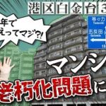 老朽化等マンションの建替え等促進策に関する質問主意書 ←丸山穂高・浜田聡提出