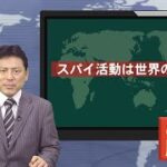 米国合衆国法典におけるスパイ行為を禁じる規定について国会図書館にご調査いただきました