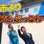 野田市議会議員選挙の選挙戦がスタートしました