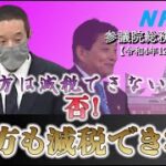 2022年12月1日 参議院総務委員会 地方税の減税について