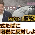 被選挙権年齢引き下げ、選挙制度、池田大作氏の提言、入管法改正案、等について質問しました　令和5年5月23日 参議院総務委員会