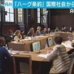 日本における子の連れ去りに関する欧州議会決議の概要