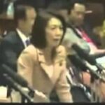 徳永エリ参議院議員による参議院予算委員会(2013年4月24日)での発言