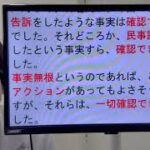 参議院宮城県選挙区、不倫騒動を指摘した選挙ポスターに関する弁護士2人の見解