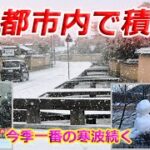 衆院選 京都1区 浜田聡　日本自由党　NHKの候補者アンケート